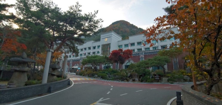  [행복] 구미 호텔 금오산 단풍 구경 다녀왔어요, 메타세콰이어 길이 너무 예쁘고 힐링되네요~
