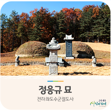  전라좌도수군절도사 정응규 묘