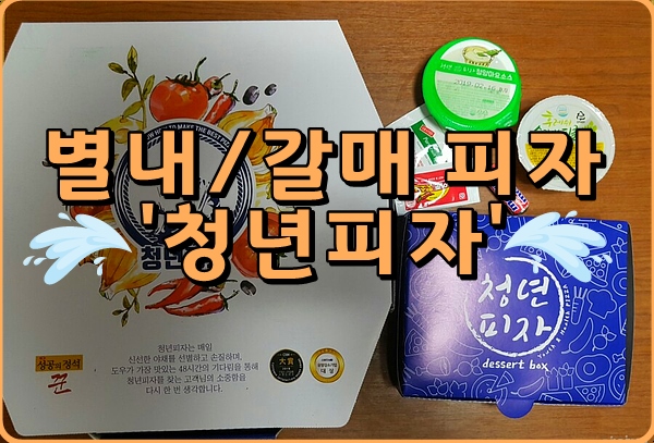  [별내/갈매 피자 ] 청년피자 - 가성비좋아요