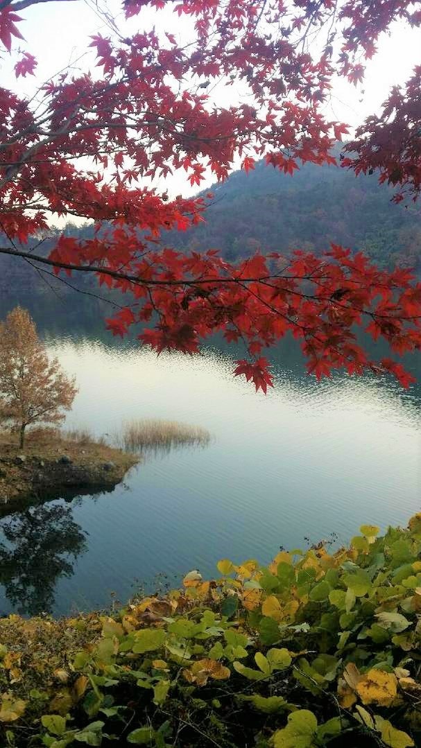 ♬♪ 이선희 아름다운 강산 가사로 힐링하기 ♪♬