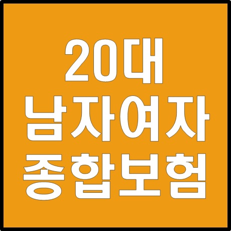  20대 남자여자 종합보험은 어디가 좋을까