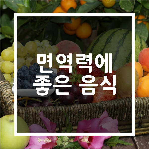  면역력에 좋은음식들
