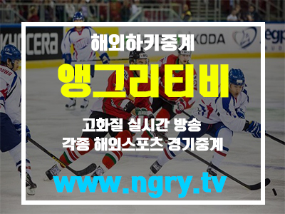  아이스하키 중계 보러가자