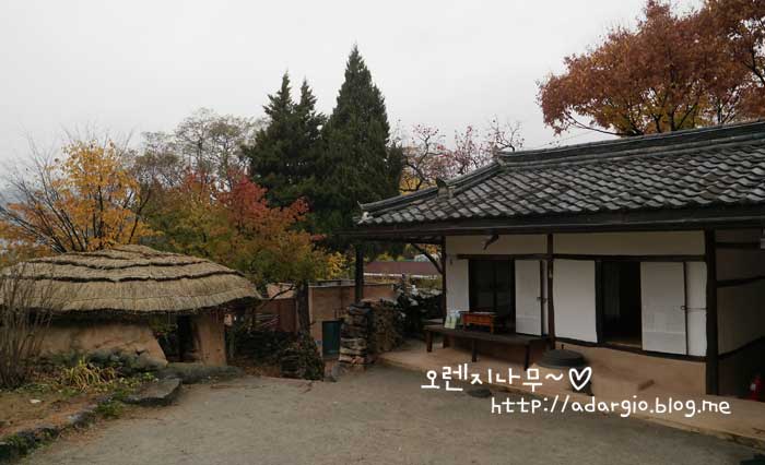  [팔공산] 노태우 전 대통령 생가