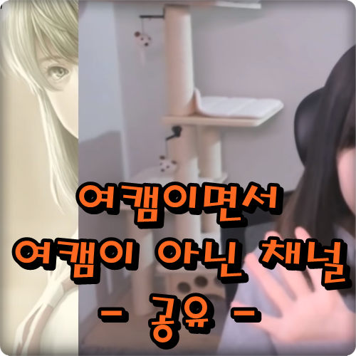  여캠이면서 여캠이 아닌 채널