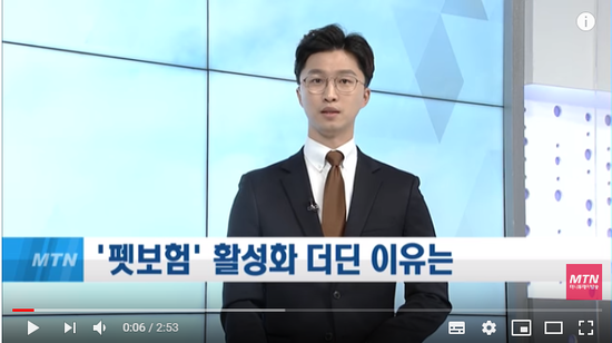 "보험 드느니 적금 붓죠"…'펫보험' 활성화 더딘 이유는 / 머니투데이방송 (뉴스) "보험 드느니 적금 붓죠"…'펫보험' 활성화 더딘 이유는 / 머니투데이방송 (뉴스)