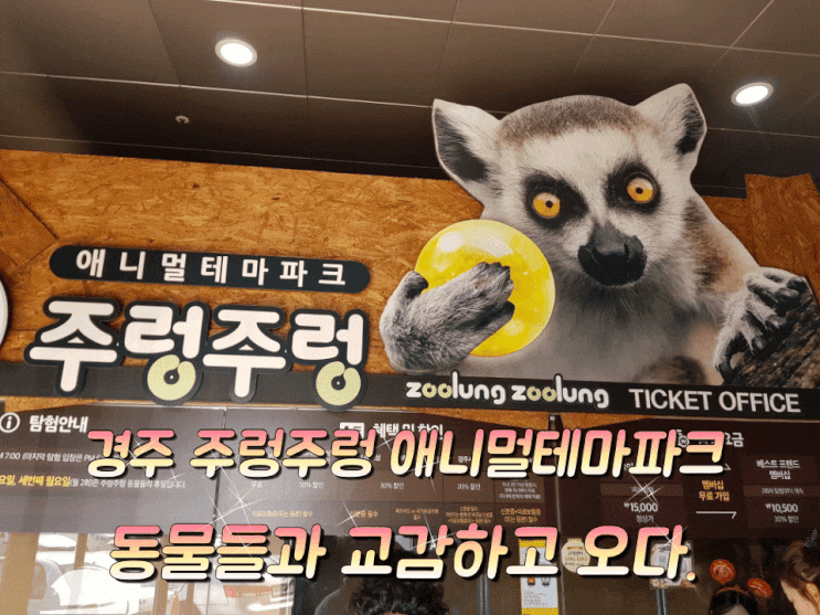 경주 주렁주렁 애니멀테마파크 체험. 경주 주렁주렁 애니멀테마파크 체험.