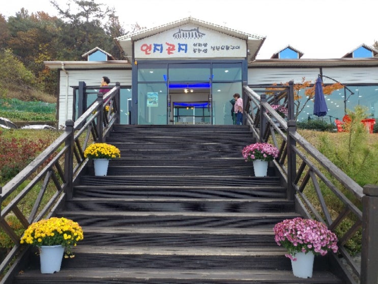  경산 사동 연지곤지에서 정갈하고  맛난 생선정식!