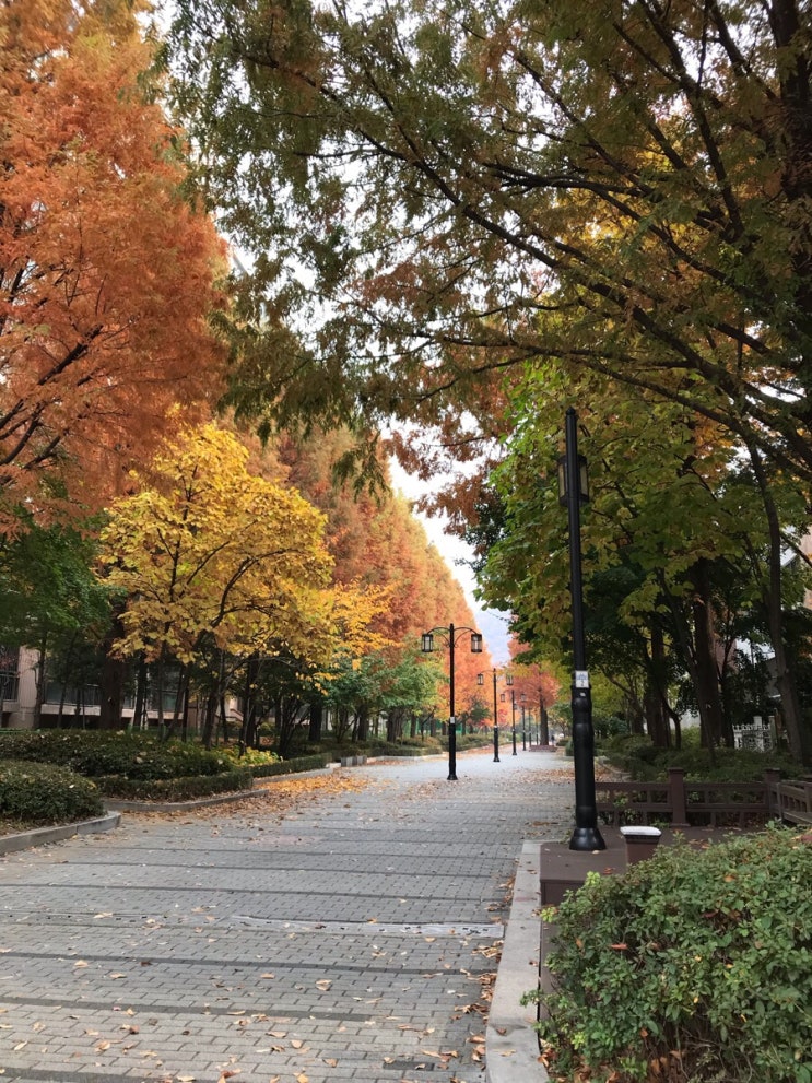 늦가을 늦가을