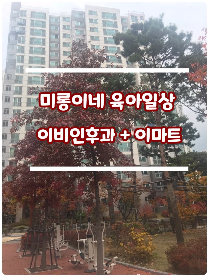  육아일상 / 공덕 이비인후과 찍고 이마트 쇼핑