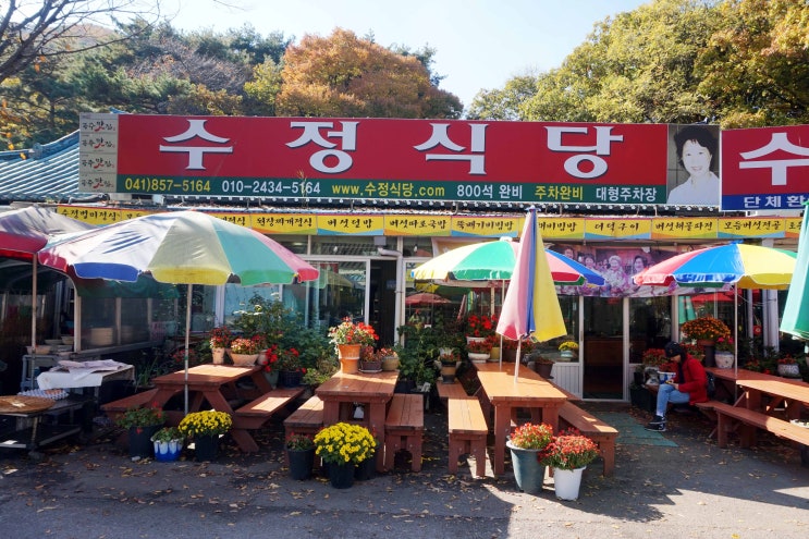 &lt;공주 맛집&gt; 계룡산 갑사 가는길 산채비빔밥 - 수정식당
