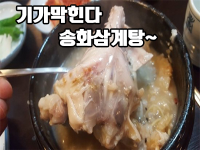  송화삼계탕 맛집 강추 !!