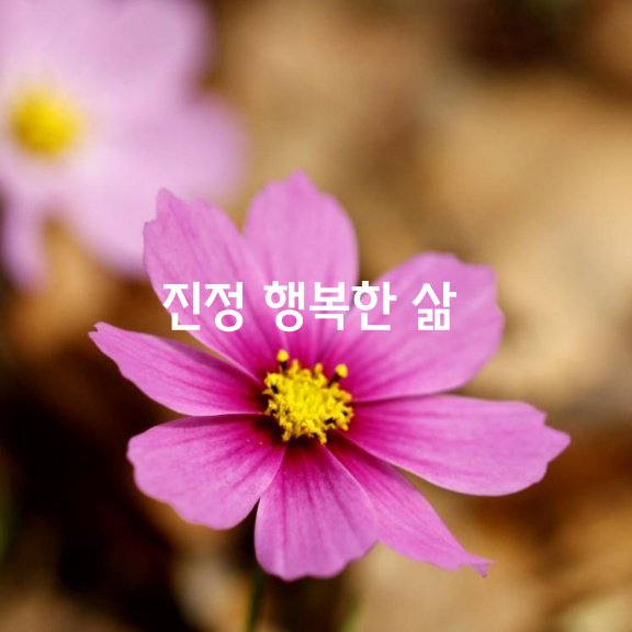  진정 행복한 삶