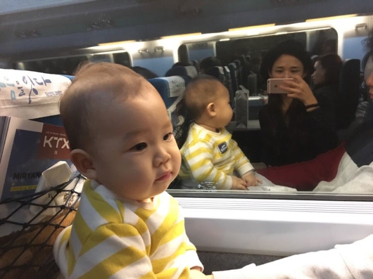  223번째 기록, 11.8~11일 45주차 다원이2/ 집밥/ KTX 유아동반석/ 겨울 방어&대게/ 천안 태조석갈비&단대 마리스커피/ 천안 신세계백화점 짬뽕순두부&이성당&아슬란