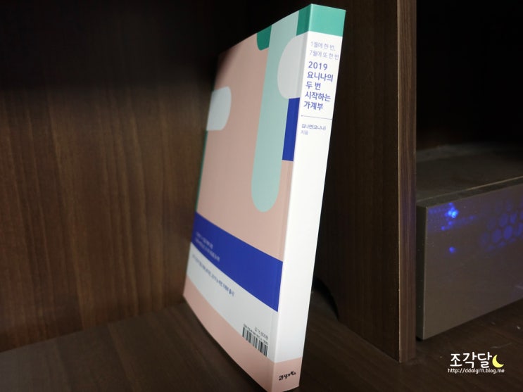  2019 가계부 요니나의 두 번 시작하는 가계부로, 월급쟁이 재테크 1억 모으기 도전!