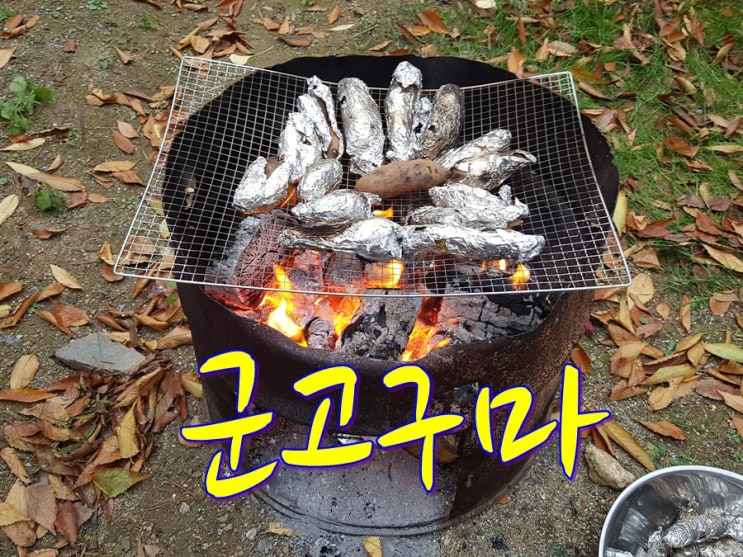 대통남이 군고구마 시식했어요