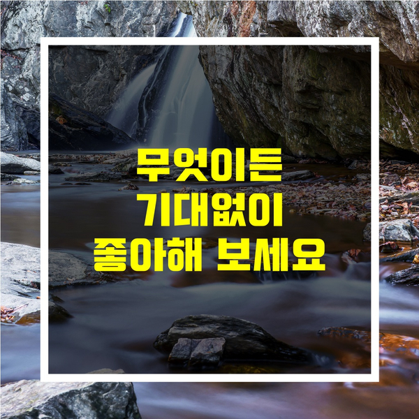  오늘의 좋은글-[무엇이든 기대없이 좋아해 보세요]
