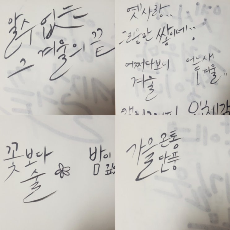  캘리그라피 기록