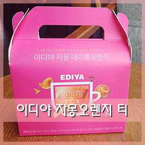  이디야 블렌딩 티 상콤달콤 자몽네이블오렌지