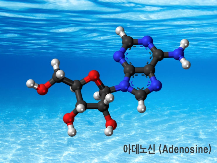 화장품 성분 - 아데노신 (Adenosine)