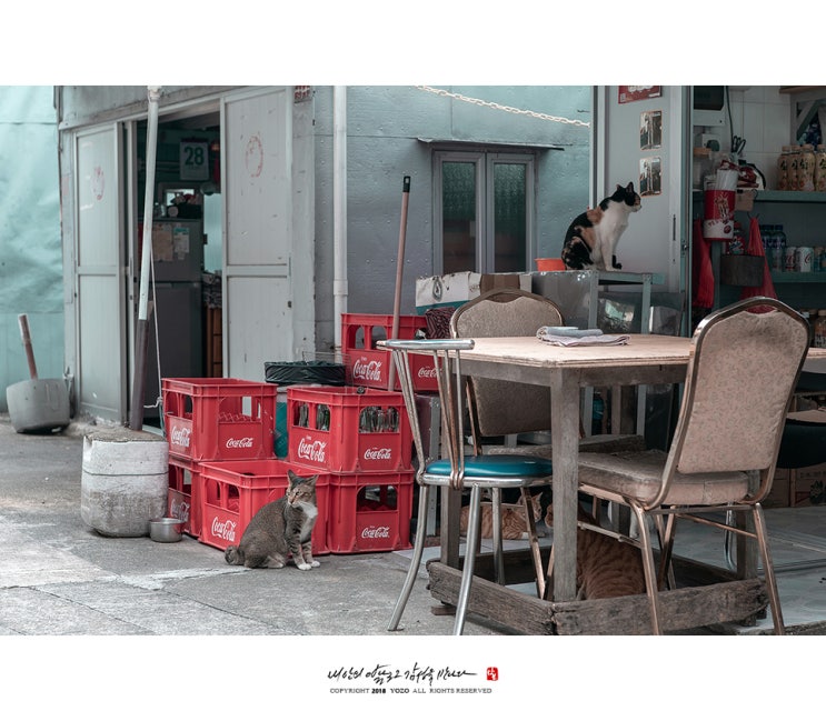  후지 X100F 거리의 소소한 풍경들...