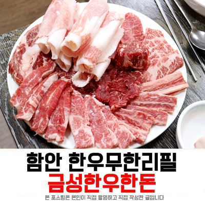 함안고기집, 한우무한리필 금성한우한돈