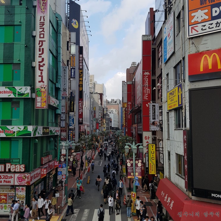  [일본워홀] 133日 계란말이 / 바이토