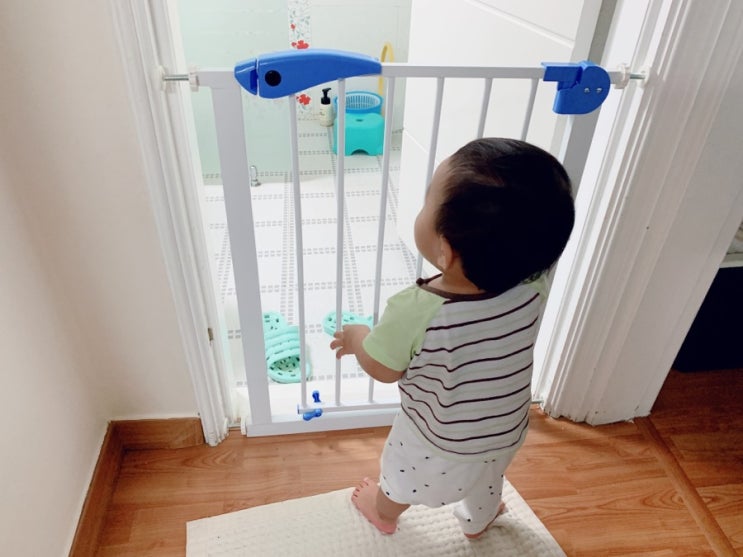  스토움 압축선반 vs 이지핏 안전문 직접 구매 사용 후기