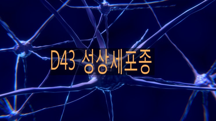 [신생물] 성상세포종(D43) 뇌종양 암진단비 해당하나?