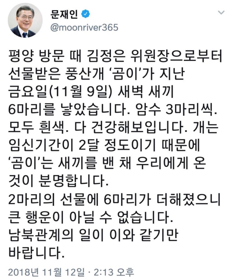  김정은 위원장으로 부터 선물받은 풍선개 “곰이”가 새끼 6마리를 낳았습니다.^^*