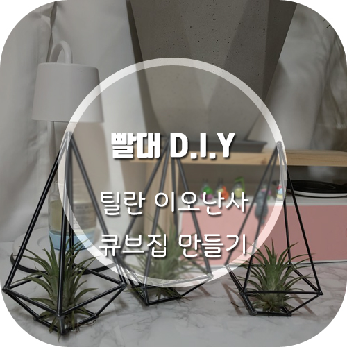  [DIY]빨대로 틸란드시아 이오난사 큐브집 만들기/인테리어식물/행잉식물 이오난사 키우기