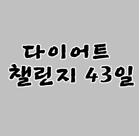 다이어트챌린지43일