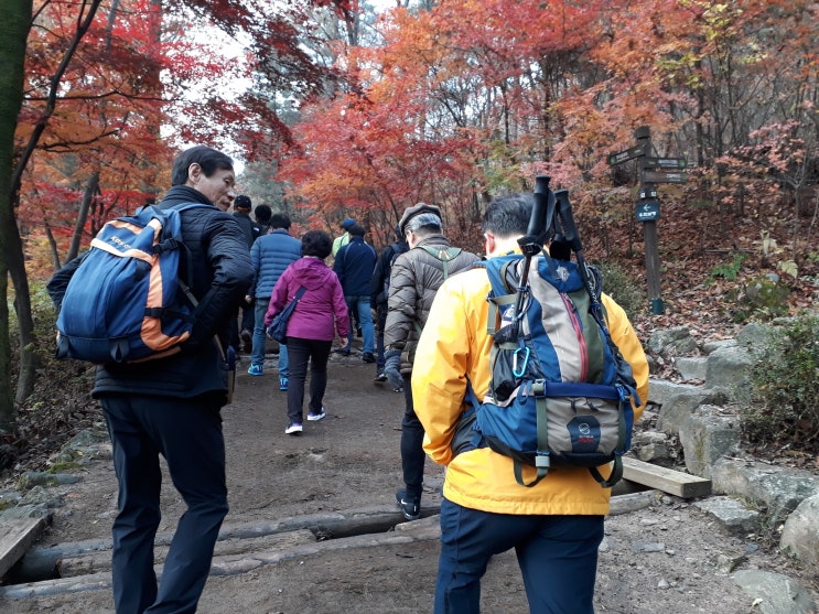  한반도 통일 산악회 이인재총재님과 바르게 걷기. (청계산)