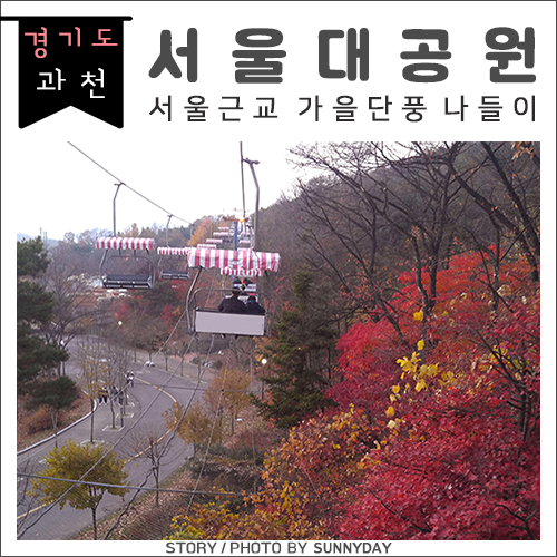  서울근교 막바지 가을 나들이, 과천 서울대공원(+동물원)