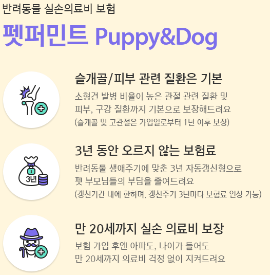  [보험소개] 메리츠 페퍼민트 펫보험 강아지보험