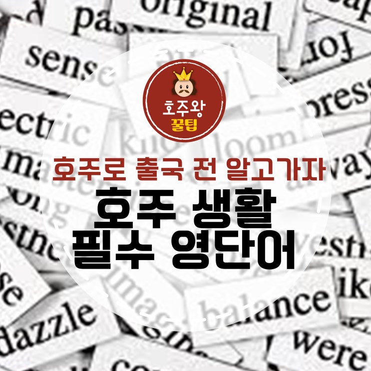  [호주생활] 호주에서 살면서 꼭 알아야하는 필수 단어 정리