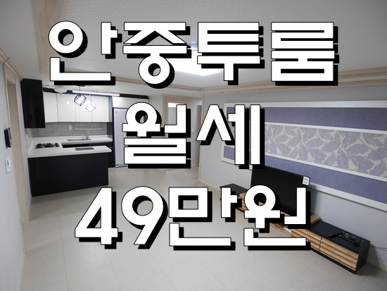  안중투룸월세 신혼부부 추천 붙박이장 수납이 좋아요