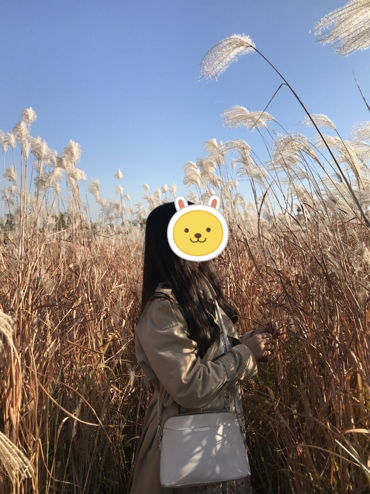 하늘공원 가을 나들이 ♣