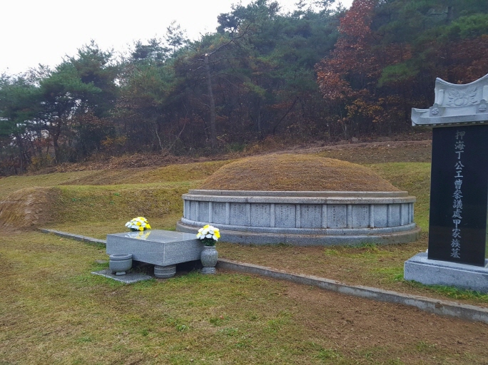  ｀구미 보림조경에서 의성군 산소 잔디 식재。