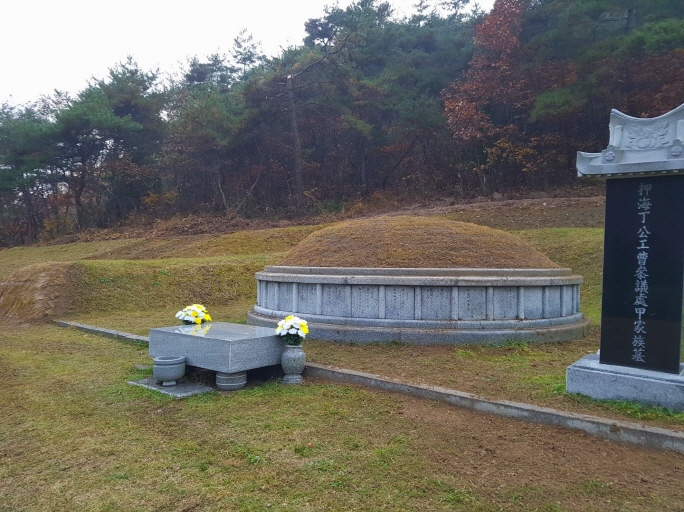 ｀구미 보림조경에서 의성군 산소 잔디 식재。