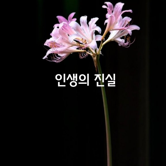  인생의 진실
