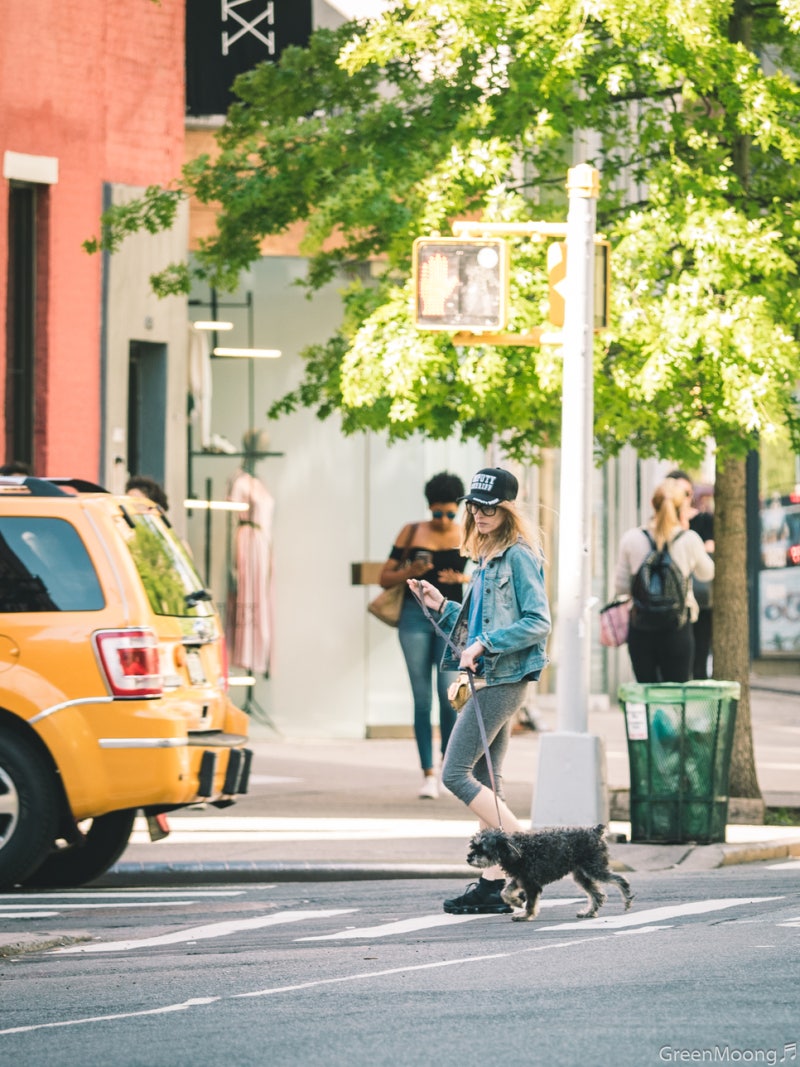 뉴욕 시티 패션 사람들