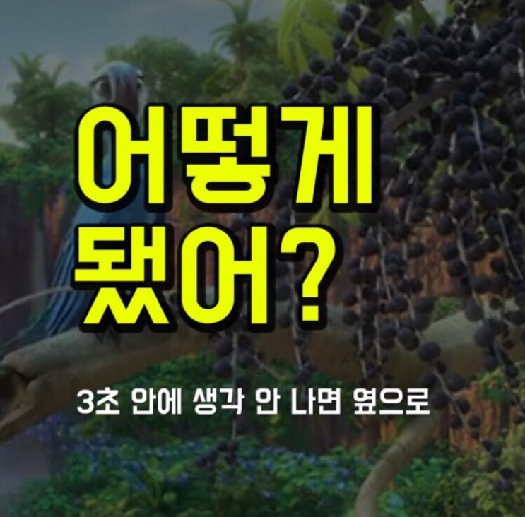  어떻게 됐어? 영어로