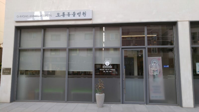 사진 3