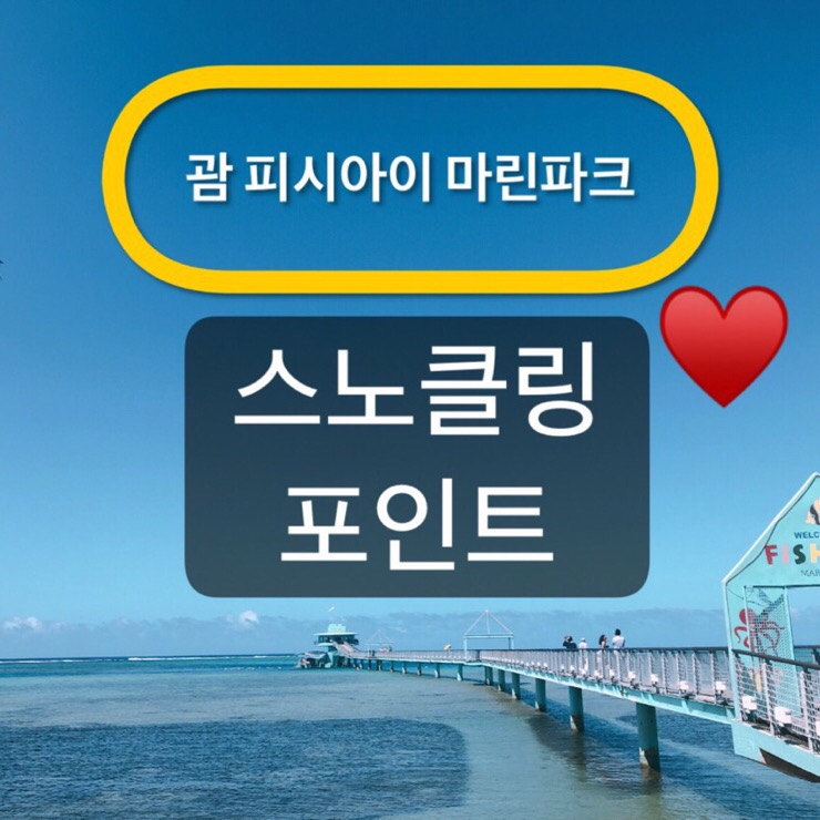 괌 피시아이 마린파크 스노클링 포인트~♥️ 괌 피시아이 마린파크 스노클링 포인트~♥️