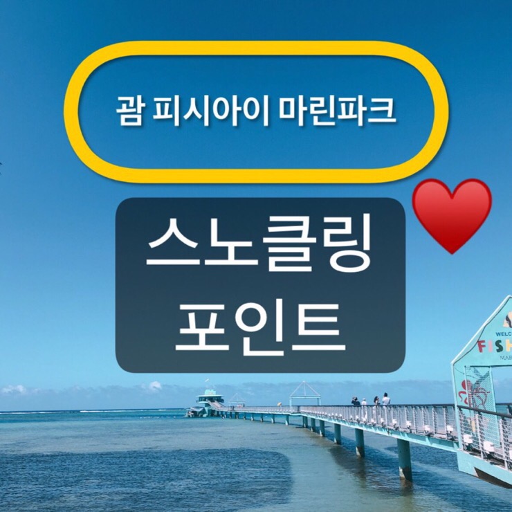 괌 피시아이 마린파크 스노클링 포인트~♥️