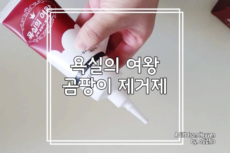 욕실곰팡이제거제 욕실의 여왕 사용후기