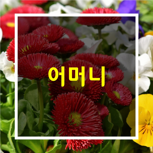  짧고좋은글-[어머니]