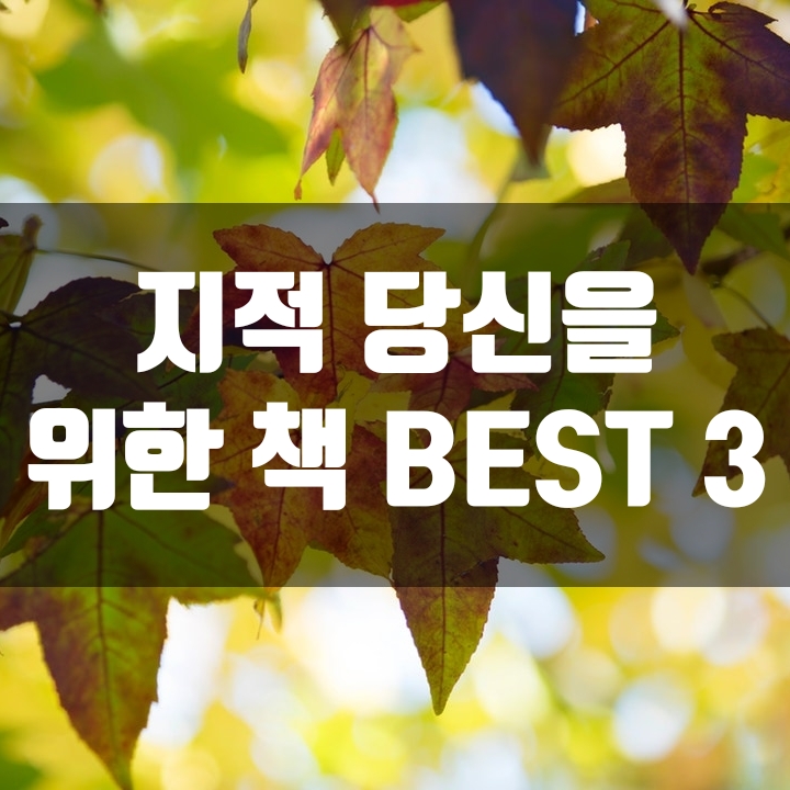  지적인 당신을 위한 인문학 책(추천) - BEST 3