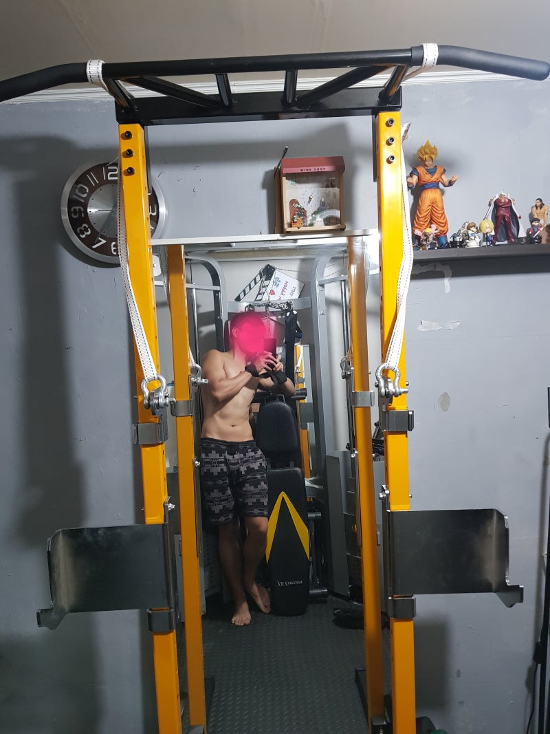 치닝디핑 딥스 가능한 몬스터철봉2 알아볼까요~ : 네이버 블로그